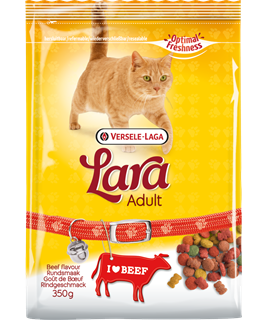 lara croquettes
