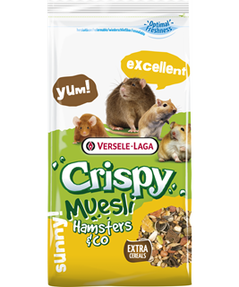nourriture hamster