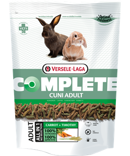 lapin adulte