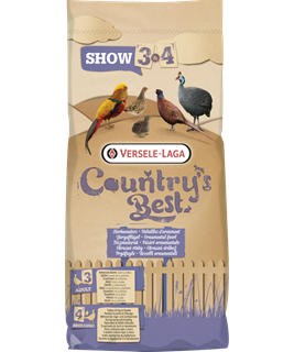 nourriture oiseaux