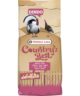 dindons nourriture