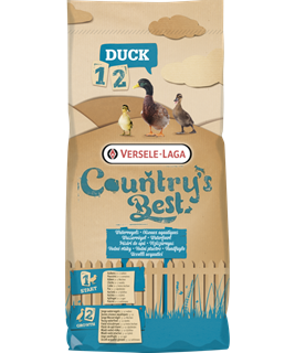canards nourriture