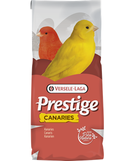 nourriture canaris