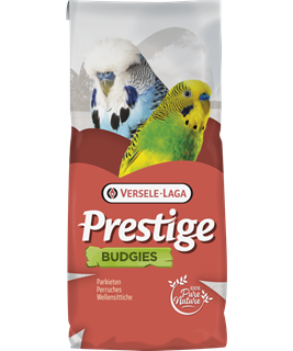 graines pour oiseaux