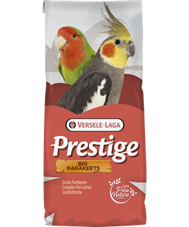 gros oiseaux