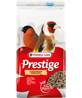 oiseaux europeens