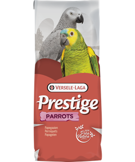 repas oiseaux