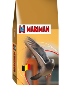 nourriture pigeon