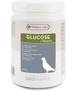 glucose pigeons