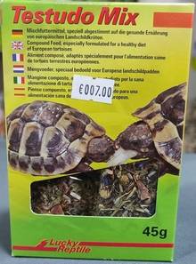 graines tortue