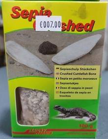reptile graines
