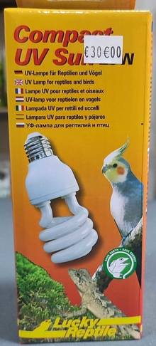 ampoule animal