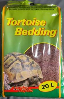 terre tortue