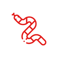 serpent