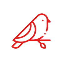 colombophilie