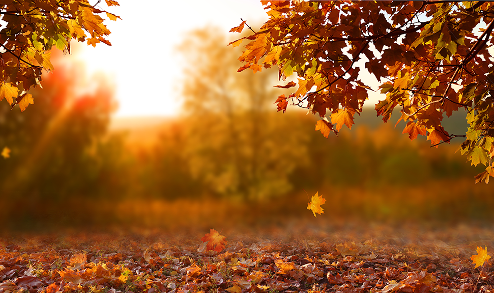 Automne