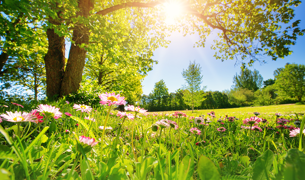 printemps